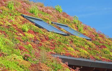 Netherwitton living roof systems
